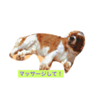 レックちゃん（個別スタンプ：13）