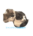 文太くん（個別スタンプ：16）