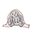 Cc the Rabbit（個別スタンプ：1）