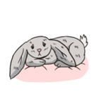 Cc the Rabbit（個別スタンプ：3）