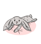 Cc the Rabbit（個別スタンプ：5）