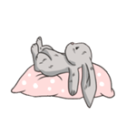 Cc the Rabbit（個別スタンプ：7）