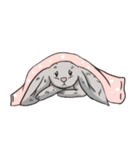 Cc the Rabbit（個別スタンプ：8）