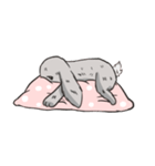 Cc the Rabbit（個別スタンプ：10）