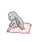 Cc the Rabbit（個別スタンプ：16）
