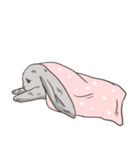Cc the Rabbit（個別スタンプ：17）