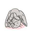 Cc the Rabbit（個別スタンプ：18）