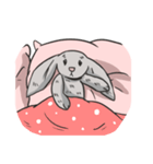 Cc the Rabbit（個別スタンプ：23）