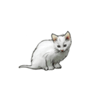 ジーウィズ動物（個別スタンプ：5）