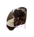 なべちゃん！（個別スタンプ：6）