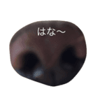 dog_memeko（個別スタンプ：8）