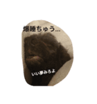 kiara814（個別スタンプ：8）