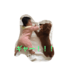 ダックスのモン太郎（個別スタンプ：14）