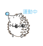 Blue nose hedgehog-NongNong（個別スタンプ：22）
