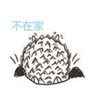 Blue nose hedgehog-NongNong（個別スタンプ：24）