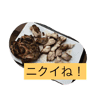 料理の写真（個別スタンプ：5）