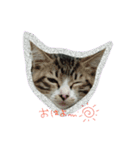 ひめちゃん①（個別スタンプ：5）