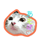 ひめちゃん①（個別スタンプ：8）