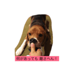 昼間の癒し（個別スタンプ：7）