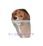 昼間の癒し（個別スタンプ：8）