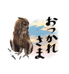 猛禽さんたちのスタンプ（個別スタンプ：7）