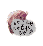 猛禽さんたちのスタンプ（個別スタンプ：29）