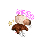 アリスとミック（個別スタンプ：9）