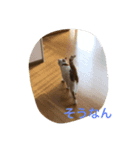 家族です。（個別スタンプ：2）