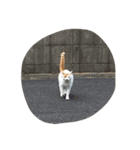 家族です。（個別スタンプ：4）