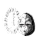ネガティブゴリラ（個別スタンプ：24）