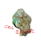 イグアナさんのスタンプ（個別スタンプ：13）