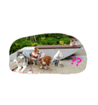 一生犬命(笑)（個別スタンプ：6）