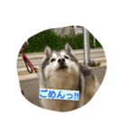 一生犬命(笑)（個別スタンプ：8）