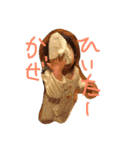 こさきさん（個別スタンプ：3）