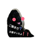 rionchan deys（個別スタンプ：3）