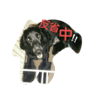 rionchan deys（個別スタンプ：6）