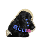 rionchan deys（個別スタンプ：8）