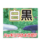 関市は魅力がいっぱい（個別スタンプ：22）
