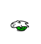 turtleboy（個別スタンプ：22）