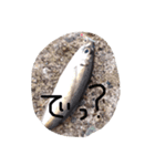 魚の日常会話（個別スタンプ：2）