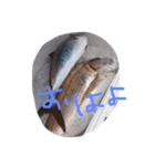 魚の日常会話（個別スタンプ：7）