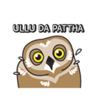 PANJABI TODAY（個別スタンプ：24）