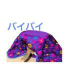 とらたさん その3（個別スタンプ：26）