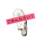 ふぁんふぁんアニマル（個別スタンプ：4）