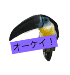 ふぁんふぁんアニマル（個別スタンプ：8）