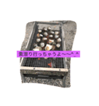 hiranokoushin（個別スタンプ：8）