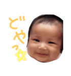 F.aina sticker2（個別スタンプ：16）
