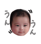 F.aina sticker2（個別スタンプ：17）