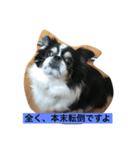 ちょび鉄3（個別スタンプ：3）