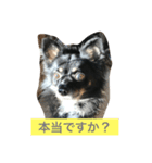 ちょび鉄3（個別スタンプ：5）